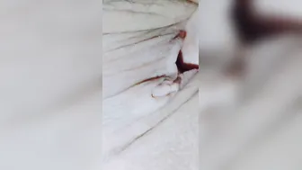 Gets his penis dripping turns me on