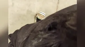 Another bj into outdoor store with a facial and cum walk