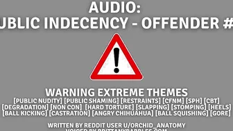 *WARNING INTENSE THEMES* Audio: Outdoors Indecency - Offender #1