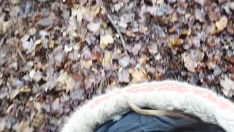 Baise en forêt pour la nouvelle année (PAWGOutdoorpoint of viewJizzed)