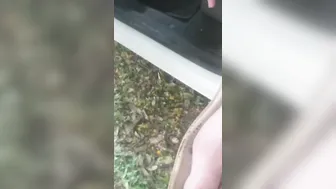 Paying a hitchiker 5$ to clean my dick