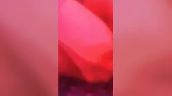 No puedo evitar gemir