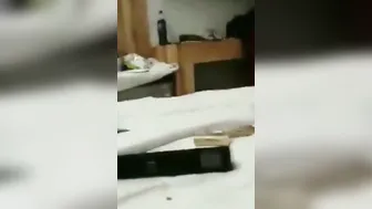 The best Desi slutty call girls and night fun