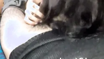 Young lovers rough fucking latest new punjab sex tape slimgir