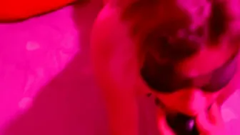 Valentines Day Party Masked Bimbo
