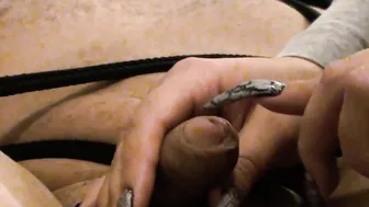 Hogtied and Milked by the Queen of Long Nails
