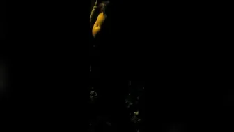 Nude outdoors flashing