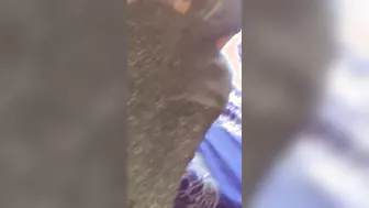 She really wanna plowed my penis and made me cum outdoor part two.