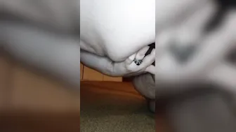 Bunny anal play