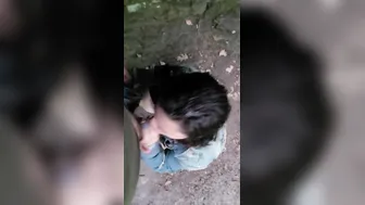 Risky point of view fellatio into outside park