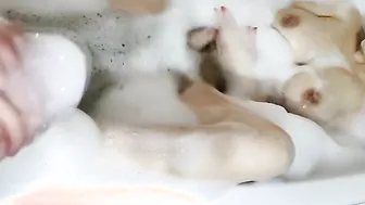 The hare screwed a big titted women inside a foam bath tub