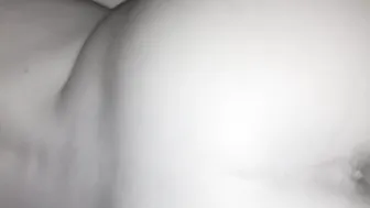 Penetrata a pecora