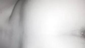 Penetrata a pecora