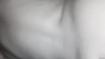 Penetrata a pecora