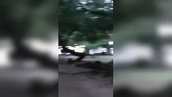 I try my new sex toy inside a park