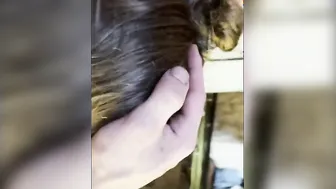 She does what Daddy wants. Kinky whore eating booty