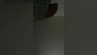 Vagina banged