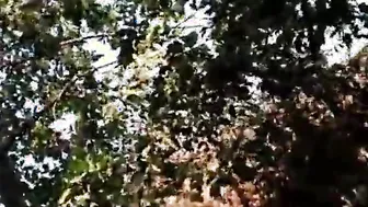sexo anal caseiro real
