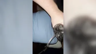 Hubby bends me over table after coming home from bar