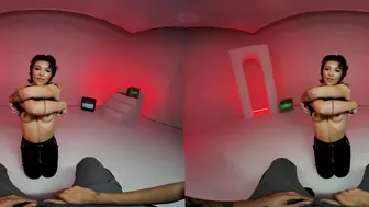 VR Conk Which Vagina Do You Choose VR Porn
