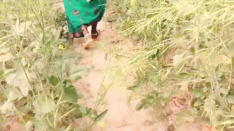 सरसों के खेत मे सासुर जी ने जबरदस्ती चोद दिया