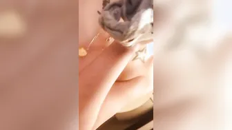 Beauty college bimbos pisses herself fingering vagina then drinks piss off lingerie