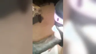 Sub bunny blowing and anal play