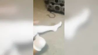 Sub bunny blowing and anal play