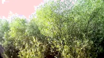 Short Dress porn video – Thanked the bro for repairing the vehicle had sex inside