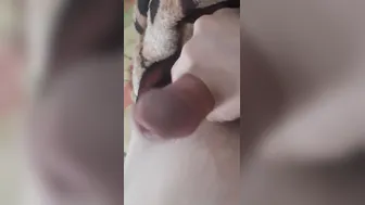 Step-Sister Could Not Resist The Boner of Her Step-Brother and Jerked Him Off