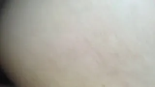 Bella_Curves