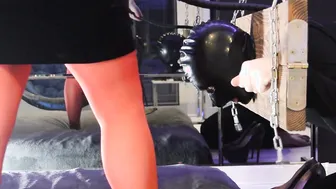 Shackled Sub Worships Gfs Red Nylon Legs