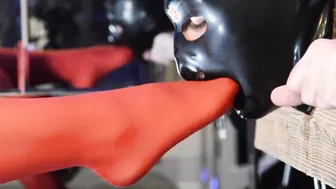 Shackled Sub Worships Gfs Red Nylon Legs