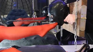 Mistress Legs