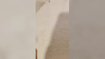 Bestie leans back and takes my bfs penis