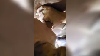 Little bro sees huge penis and cant gotten rough Splitroast inside limp mode MMF