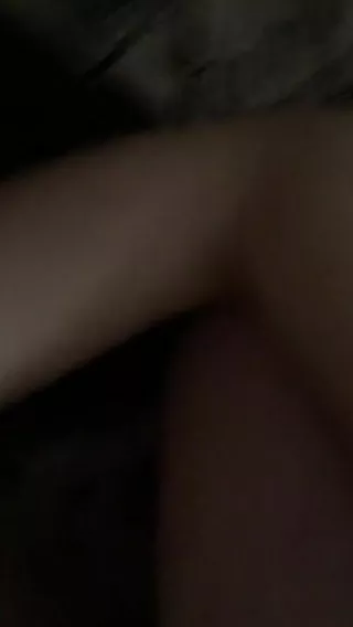 Androlga Tits