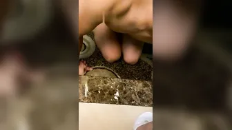 Eastern Fem Dom / 人御姐的极致调教