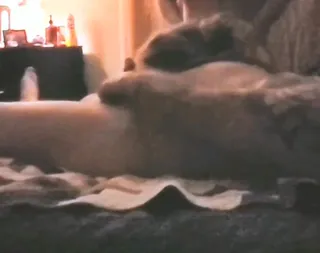 Maggie Silver