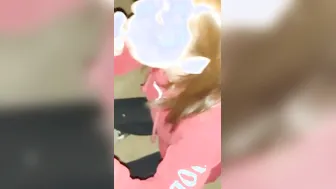 Outdoors oral sex into park at night