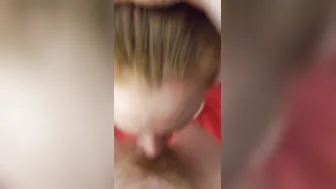 Pet getting facial before bed