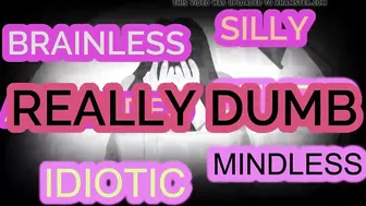 Subliminal Bimbo maker Trade Off - All hooters...No Brains..