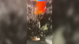 Chicago Dancer