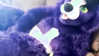 A Little Alone Time - Solo Fursuit Petting and Rubbing - Solo Female - Low Volume