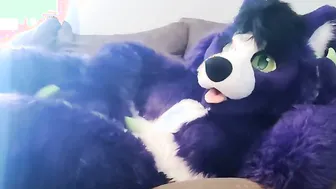 A Little Alone Time - Solo Fursuit Petting and Rubbing - Solo Female - Low Volume