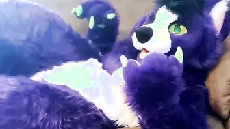 A Little Alone Time - Solo Fursuit Petting and Rubbing - Solo Female - Low Volume