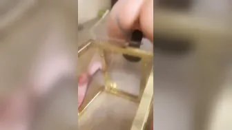 Hotwife practicing to take two bbc into front of cuck husband