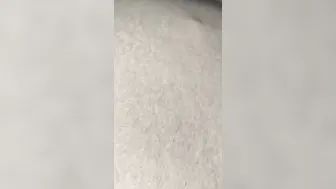 Gets fellatio inside vehicle funny 