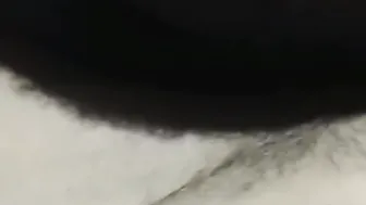 Thot inside Texas - point of view Slender Hispanic 3Some