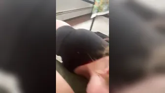 Professor worships my dick and rims me before gets a deep fucked